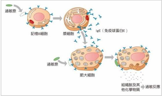 微信圖片_20090101011916.jpg